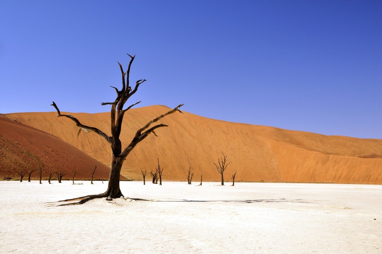 Desert in Namibia